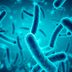 This One Item Has More Bacteria Than Anything in Your Entire House—and Cleaning It Doesn't Make a Difference