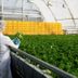 50 Secrets Food Manufacturers Don’t Tell You That Could Change the Way You Eat