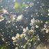 An Allergist Says Seasonal Allergies Really Are Worse Than Ever This Year—Here's Why