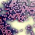 Polio Recently Turned Up Again—Here's How a Leading Infectious Disease Doctor Says You Can Help Prevent It