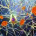 The 5 Biggest Beliefs About Getting Alzheimer’s That Aren’t True, a Gerontologist Says