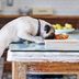 A List of Foods Dogs Can't Eat—and How to React If They Do, from Experts
