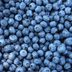 I Ate Blueberries Every Day for a Week—Here's What Happened