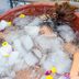 I Tried Cold Plunging Every Day for a Week—Here's What Happened