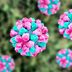 A Highly Contagious Stomach Bug Is Surging in the US—Here’s Where It's Worst