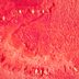 I Ate Watermelon Every Day for a Week—Here's What Happened