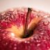 I Ate Apples Every Day for a Week—Here's What Happened